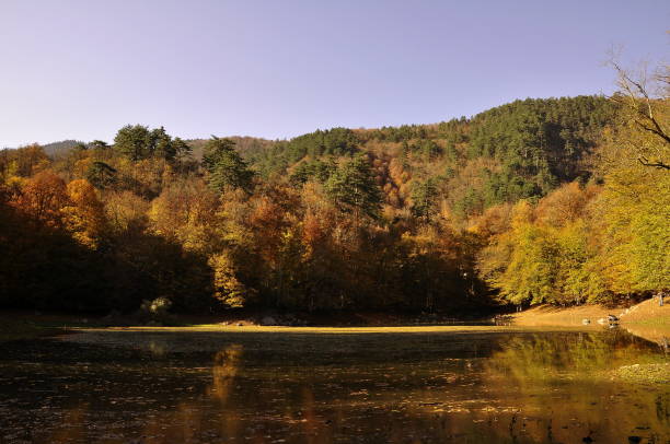 istock Autumn landscape. Autumn tree leaves sky background. 1074169662