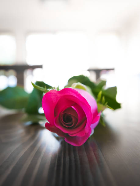 istock Pink Roses on a Wooden surface. 1074176590