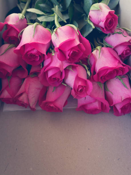 istock Pink Roses on a Wooden surface. 1074177036