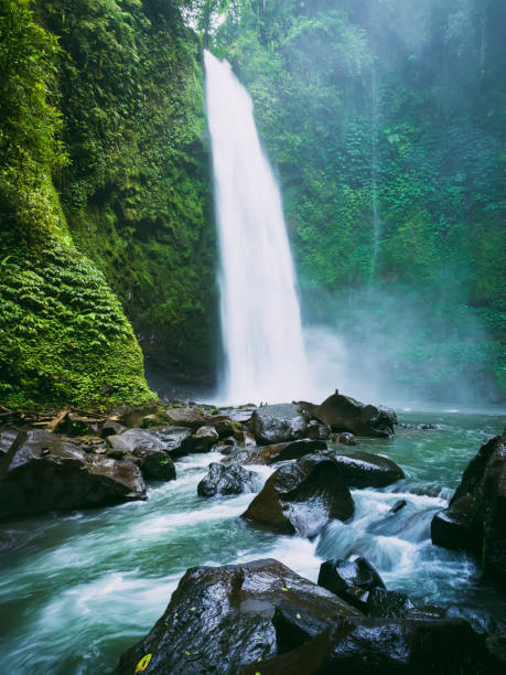 istock Powerful waterfall with river in Bali. Tropical forest and waterfall 1074183036