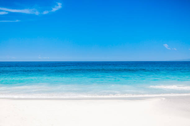 istock Tropical white beach with blue ocean in paradise island 1074183236