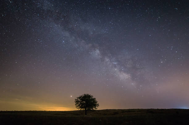 istock sky and landscape , milkyway, tree 1074186722