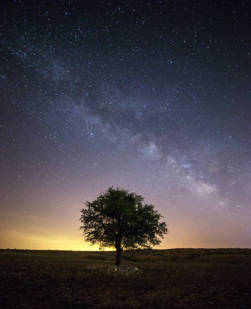 istock sky and landscape , milkyway , tree 1074190650