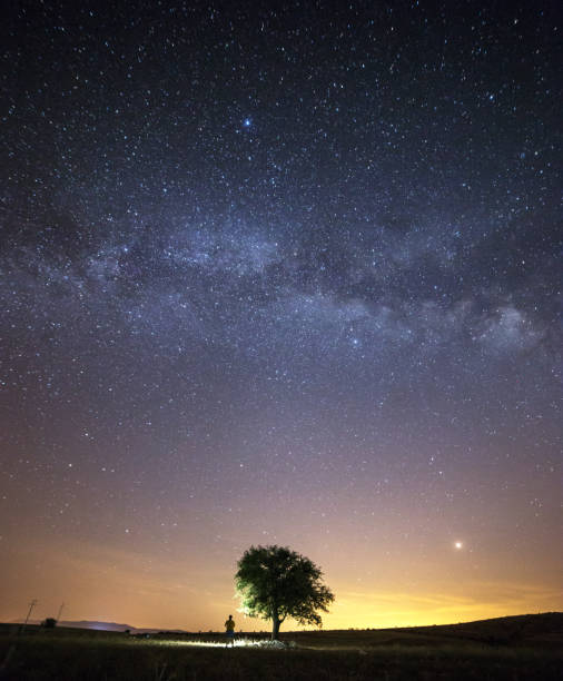 istock sky and landscape , milkyway , tree 1074195322