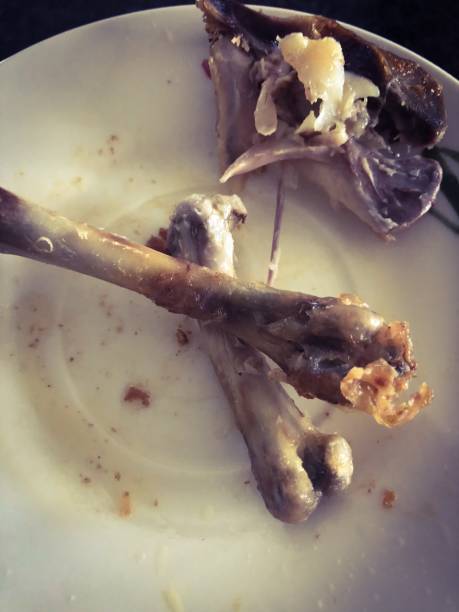 istock grilled chicken leg, drumstick, chicken wing 1074202796