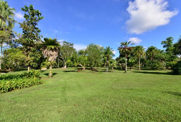 Park land in Florida, America