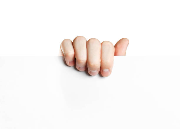 istock Hand holding paper. Close up. Isolated on white background. 1074211552