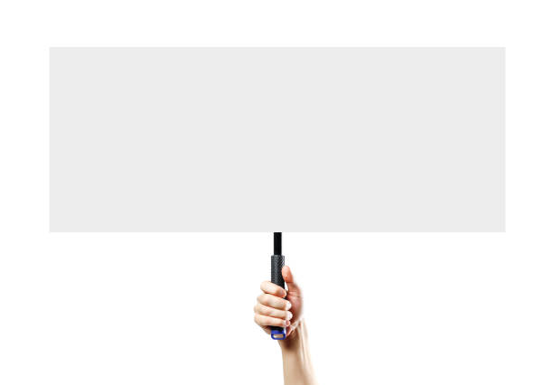 istock Hand holding a white blank plate with a handle. Close up. Isolated on white background. 1074211582