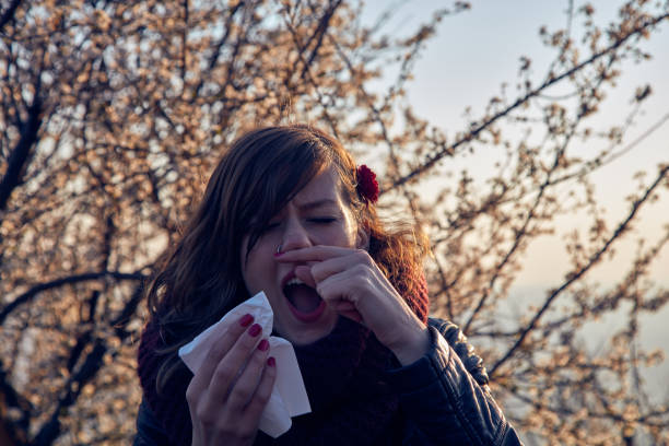 istock Seasonal allergies and health problems / issues. 1074219066