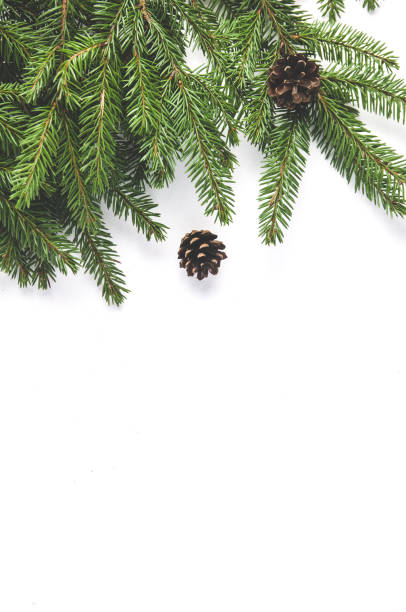 istock Fir branches on a white background. Christmas decorations 1074222096