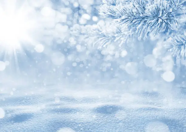 Photo of Winter bright background.