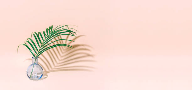 istock Minimal pure composition with palm leaf in a vase on pastel background. Creative minimal concept. 1074231072