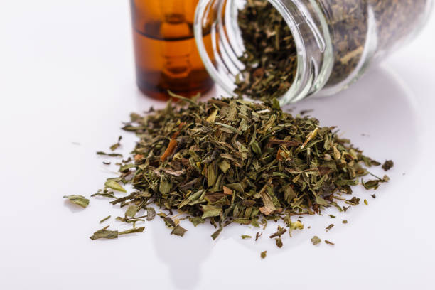 istock dried tarragon and essential oil on a white background 1074239672