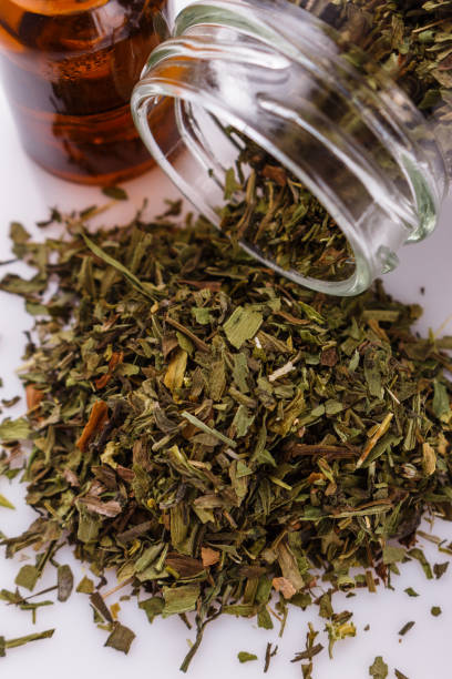 istock dried tarragon and essential oil on a white background 1074239736