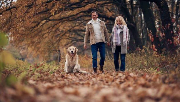 istock Senior couple in park in autumn 1074242276
