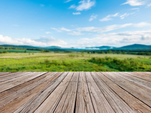 istock Green field and clear sky 1074254254