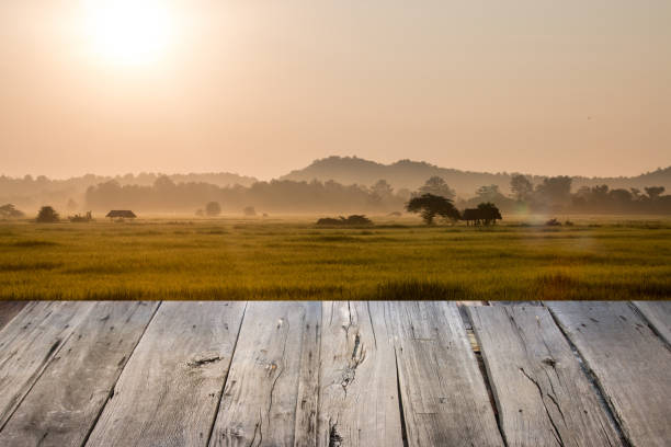istock empty wooden table and rice field background 1074254630