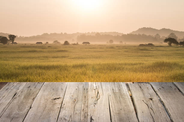 istock empty wooden table and rice field background 1074254686