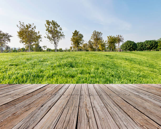 istock Green field and trees in public park 1074260320