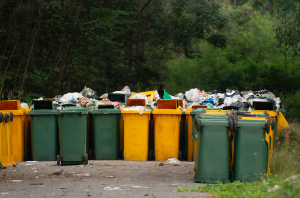 istock Landfill and garbage bins prepared for sanitary landfill 1074264900