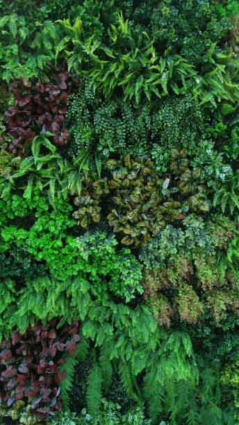 istock Vertical garden with tropical green leaf, contrast 1074268336