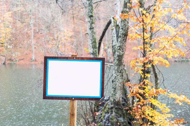 Sign boards in autumn woods - copy space