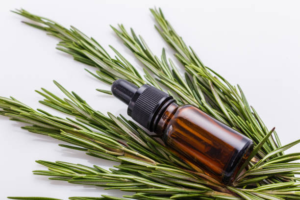 istock Rosemary essential oil on a white background 1074273998