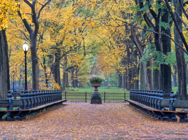 istock Central Park Mall in autmn 1074280640