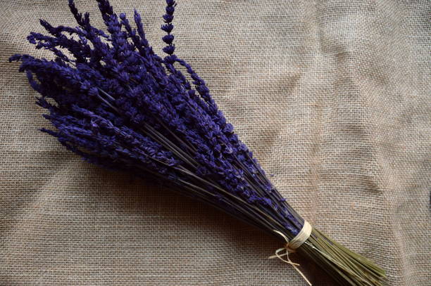 istock Bouquet of lavender 1074281032
