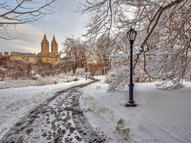 istock Central Park, New York City in winter 1074281274