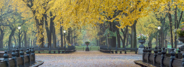istock Central Park Mall in autmn 1074281418