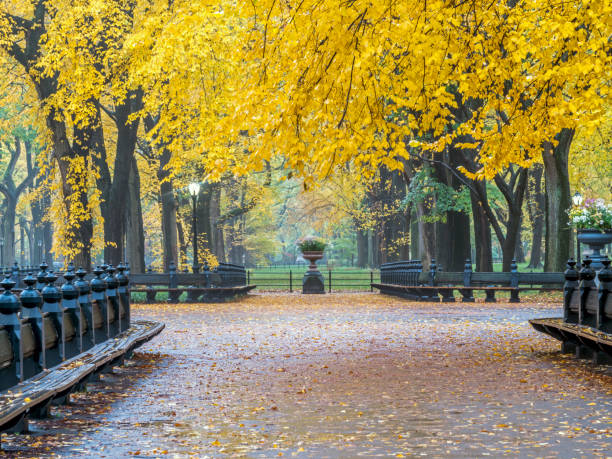 istock Central Park Mall in autmn 1074281508