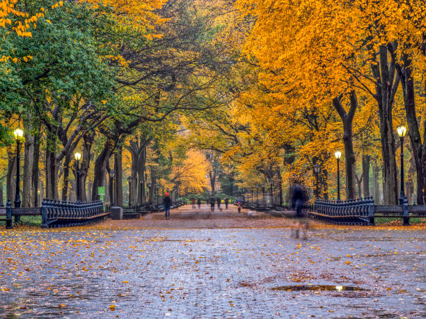 istock Central Park Mall in autmn 1074282102
