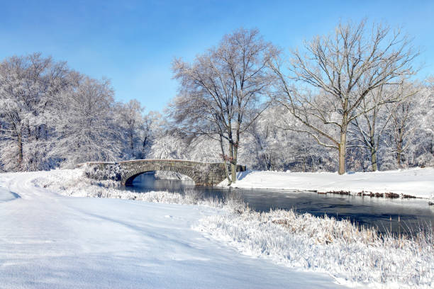 inverno no parque franklin de boston - boston winter snow massachusetts - fotografias e filmes do acervo