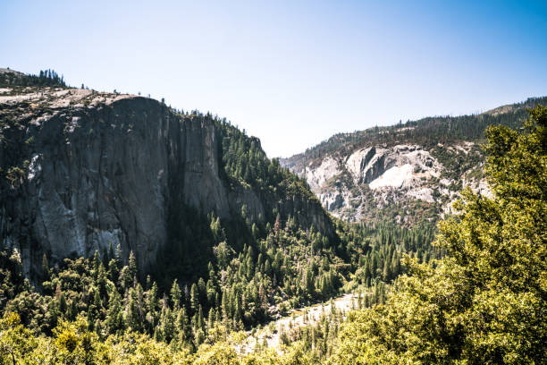 istock Pine forest in the lower part of the rock mountain 1074295938