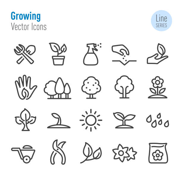 wachsende icons - vektor-line-serie - seed packet stock-grafiken, -clipart, -cartoons und -symbole