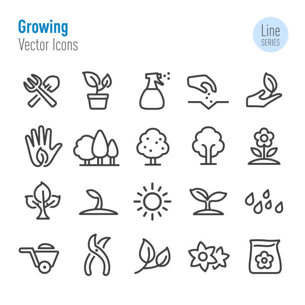illustrations, cliparts, dessins animés et icônes de icônes croissants - vecteur ligne série - watering can growth watering gardening