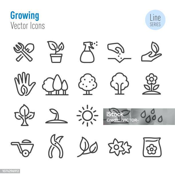 Growing Icons Vector Line Series Stock Illustration - Download Image Now - Icon Symbol, Tree, Forest