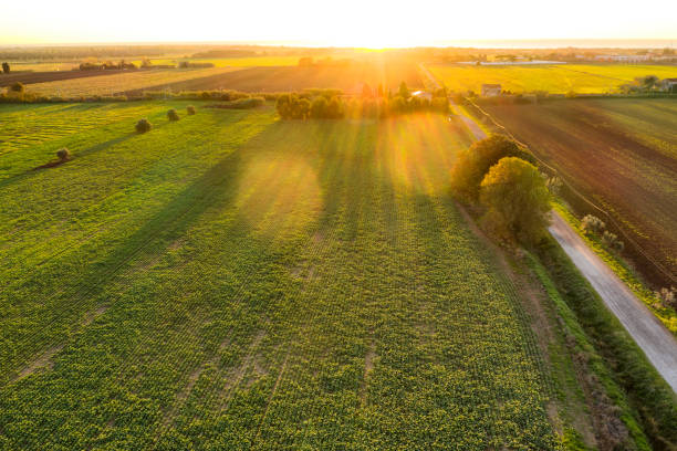 parte traseira iluminada vista aérea do campo cultivado em chianti região, toscana, itália - travel nature back lit rural scene - fotografias e filmes do acervo