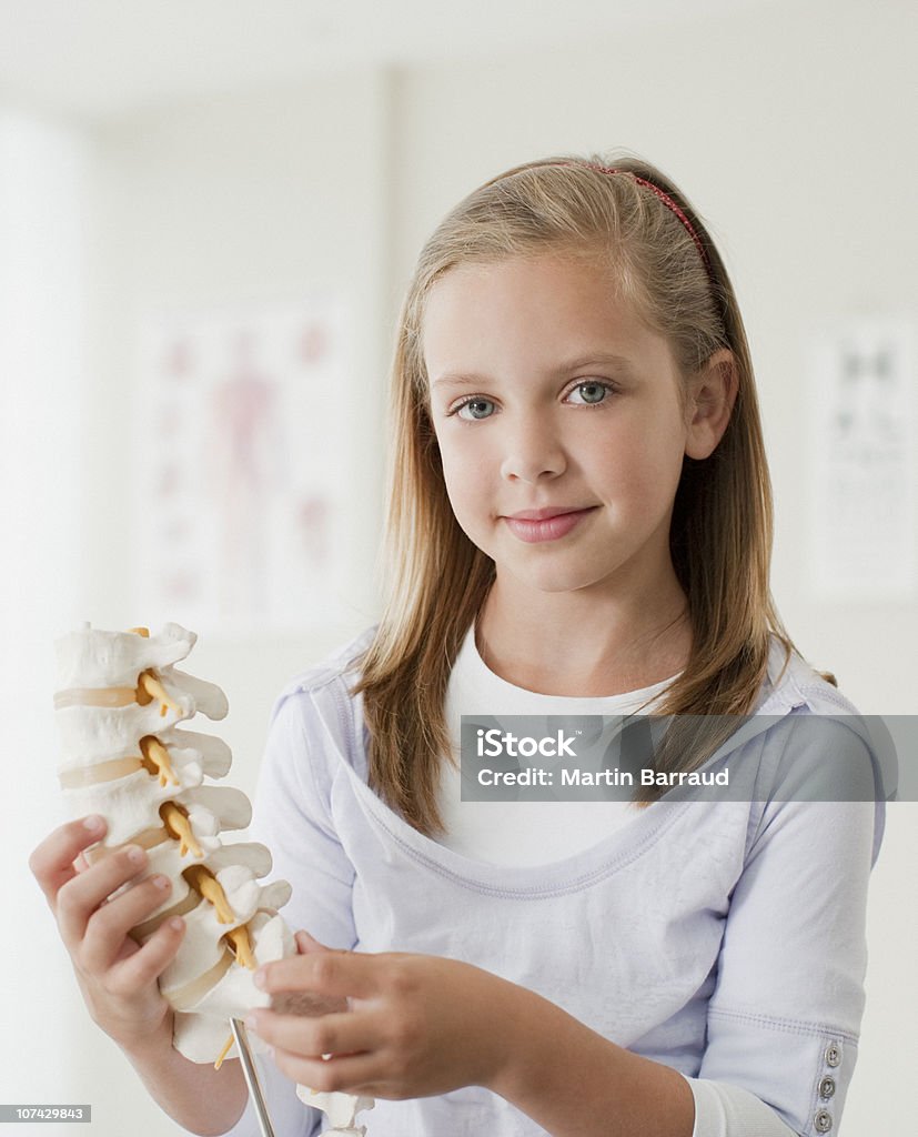 Fille tenant un modèle de colonne vertébrale au bureau de médecins - Photo de Enfant libre de droits