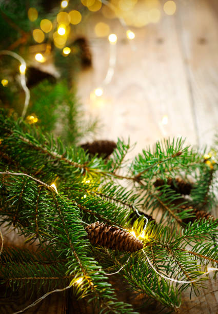 istock Christmas tree branches with lights on wooden background 1074302138