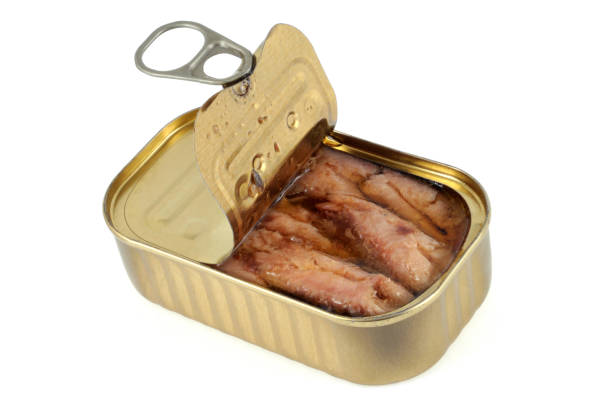 istock Box of mackerel with white wine 1074303270