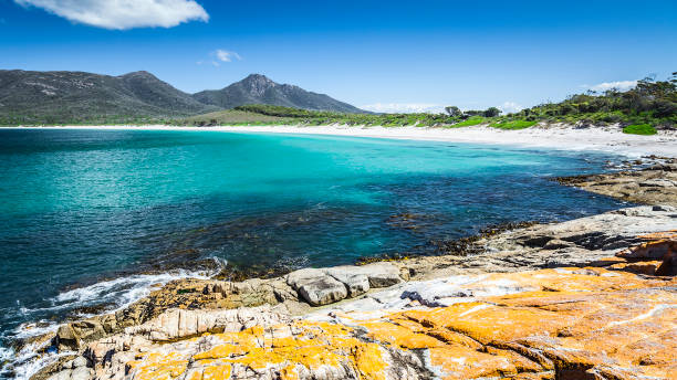 istock Wineglass Bay in Australia 1074305178