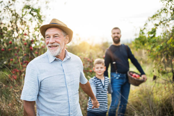 un bambino con padre e nonno che camminano nel meleto in autunno. - orchard child crop little boys foto e immagini stock