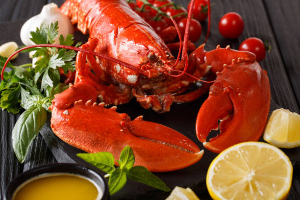 istock Cooked lobster close-up with lemon, fresh tomatoes and herbs. horizontal 1074337900