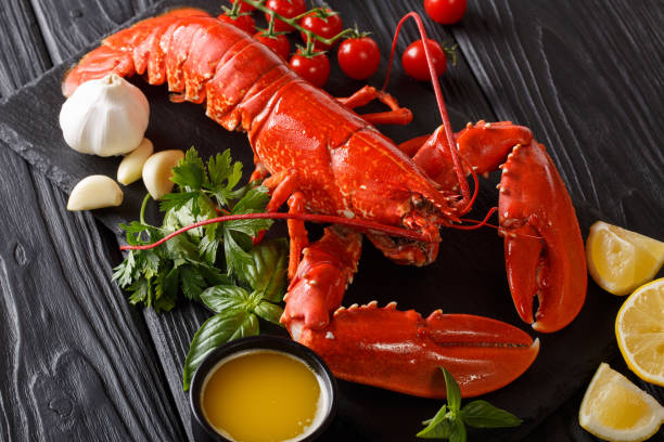 istock Freshly prepared lobster closeup with lemon, garlic, fresh tomatoes and herbs on a table. horizontal 1074339004