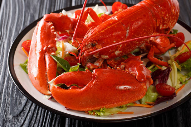 istock Served red lobster with fresh vegetable salad close-up on a black background. horizontal 1074350932