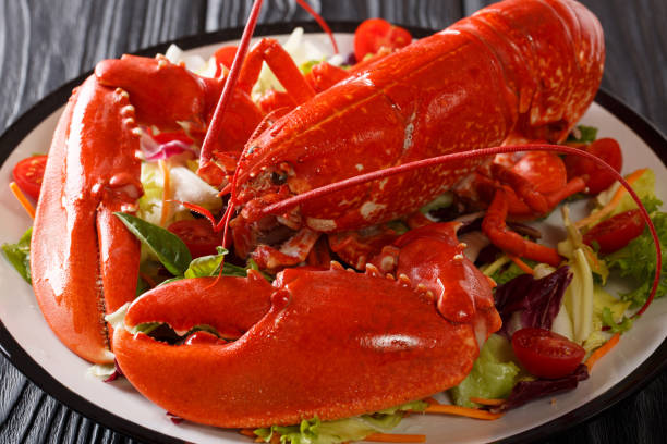 istock Cooked sea lobster with fresh vegetable salad on a plate close-up. horizontal 1074356432
