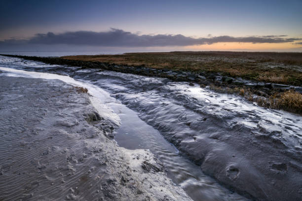 уодден море на рассвете - wadden wadden sea unesco world heritage site sea стоковые фото и изображения