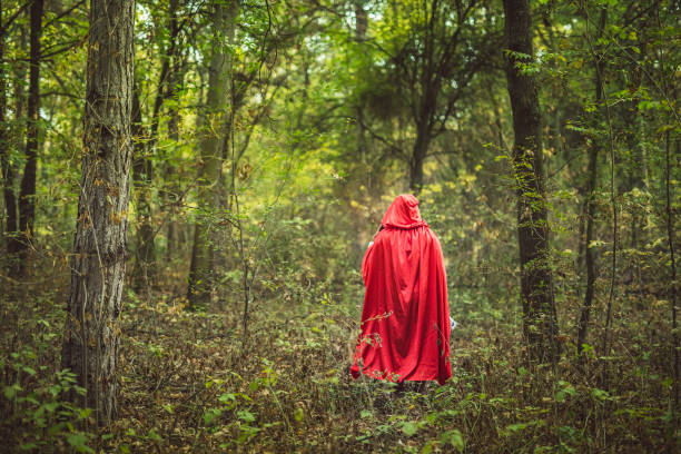 istock Little red riding hood 1074387906